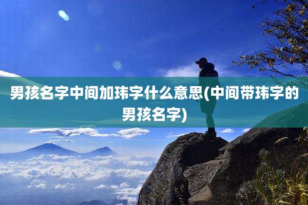 男孩名字中间加玮字什么意思(中间带玮字的男孩名字)