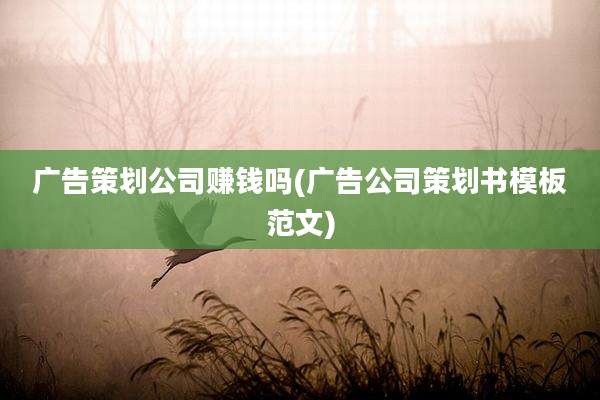 广告策划公司赚钱吗(广告公司策划书模板范文)