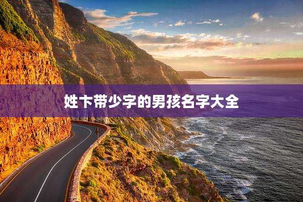 姓卞带少字的男孩名字大全