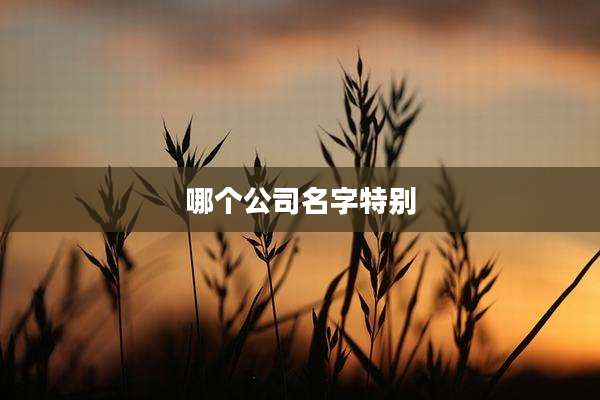 哪个公司名字特别