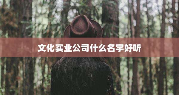 文化实业公司什么名字好听