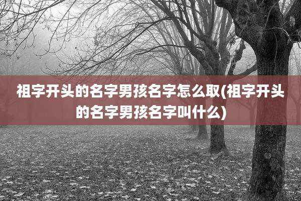 祖字开头的名字男孩名字怎么取(祖字开头的名字男孩名字叫什么)