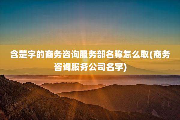 含楚字的商务咨询服务部名称怎么取(商务咨询服务公司名字)