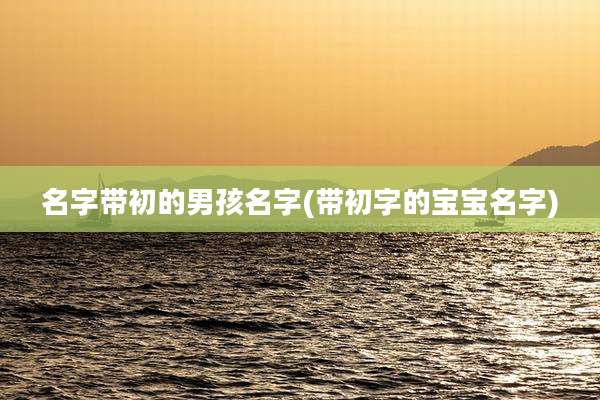 名字带初的男孩名字(带初字的宝宝名字)