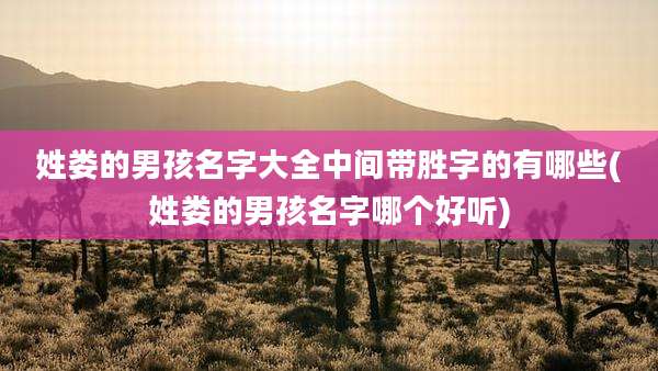 姓娄的男孩名字大全中间带胜字的有哪些(姓娄的男孩名字哪个好听)