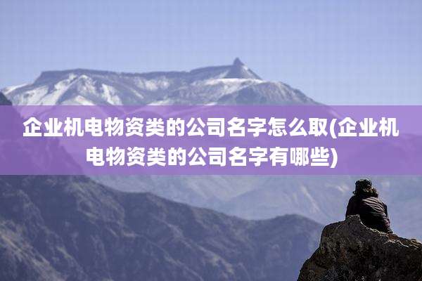 企业机电物资类的公司名字怎么取(企业机电物资类的公司名字有哪些)