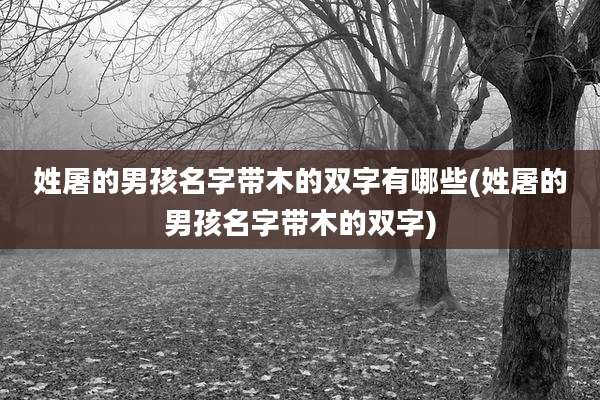 姓屠的男孩名字带木的双字有哪些(姓屠的男孩名字带木的双字)