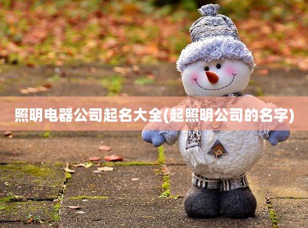 照明电器公司起名大全(起照明公司的名字)