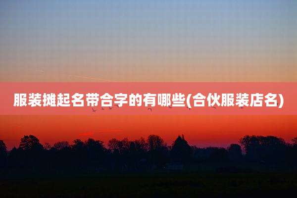 服装摊起名带合字的有哪些(合伙服装店名)
