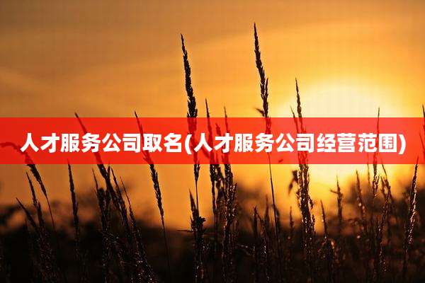 人才服务公司取名(人才服务公司经营范围)