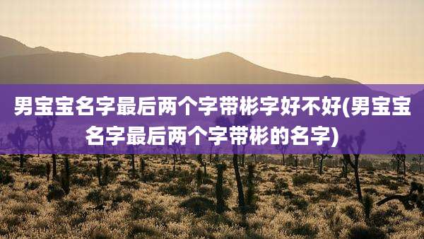 男宝宝名字最后两个字带彬字好不好(男宝宝名字最后两个字带彬的名字)