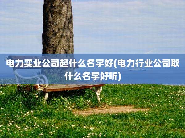 电力实业公司起什么名字好(电力行业公司取什么名字好听)