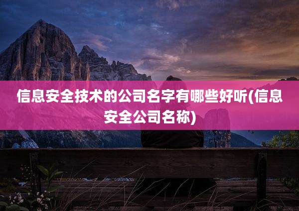 信息安全技术的公司名字有哪些好听(信息安全公司名称)