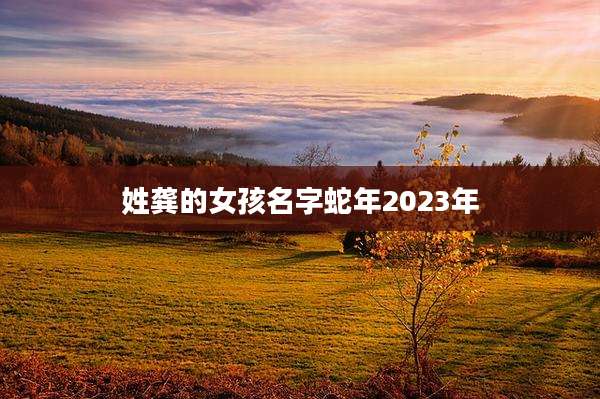 姓龚的女孩名字蛇年2023年