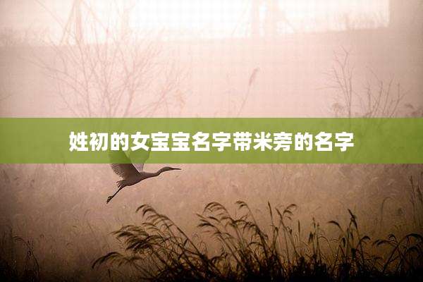 姓初的女宝宝名字带米旁的名字