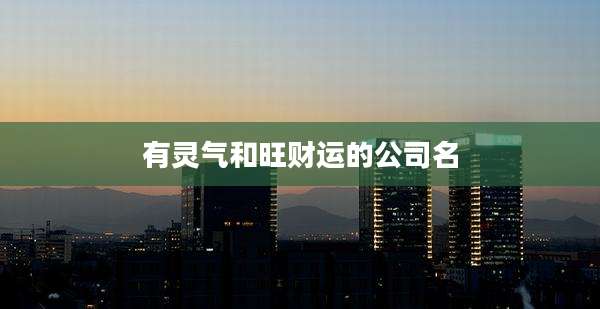 有灵气和旺财运的公司名