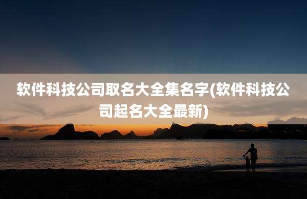 软件科技公司取名大全集名字(软件科技公司起名大全最新)