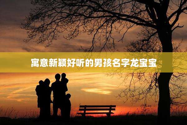 寓意新颖好听的男孩名字龙宝宝