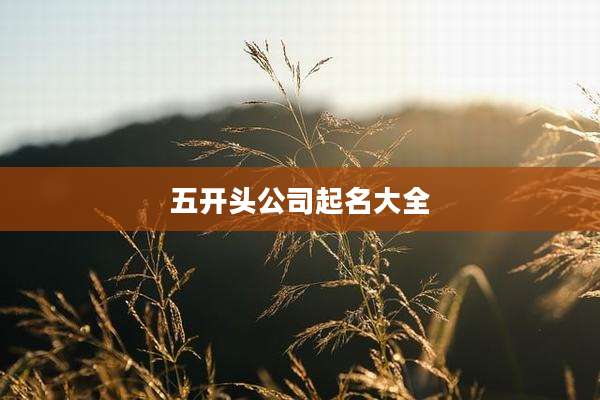 五开头公司起名大全