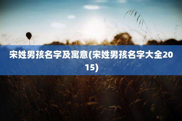 宋姓男孩名字及寓意(宋姓男孩名字大全2015)