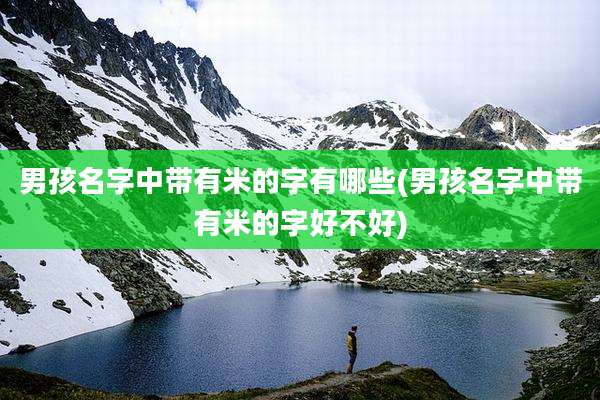 男孩名字中带有米的字有哪些(男孩名字中带有米的字好不好)