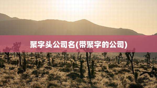 聚字头公司名(带聚字的公司)