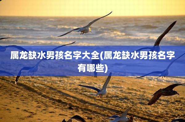 属龙缺水男孩名字大全(属龙缺水男孩名字有哪些)