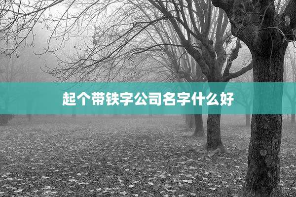 起个带铁字公司名字什么好