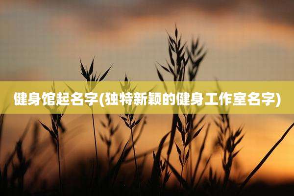 健身馆起名字(独特新颖的健身工作室名字)