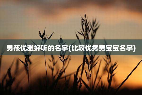 男孩优雅好听的名字(比较优秀男宝宝名字)