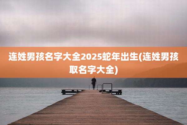 连姓男孩名字大全2025蛇年出生(连姓男孩取名字大全)