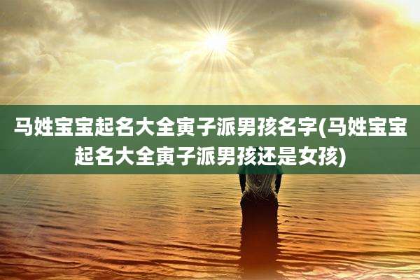 马姓宝宝起名大全寅子派男孩名字(马姓宝宝起名大全寅子派男孩还是女孩)