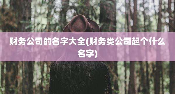 财务公司的名字大全(财务类公司起个什么名字)