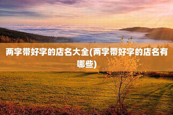 两字带好字的店名大全(两字带好字的店名有哪些)