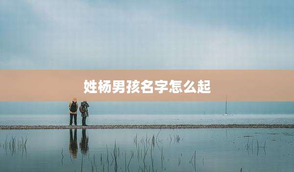 姓杨男孩名字怎么起