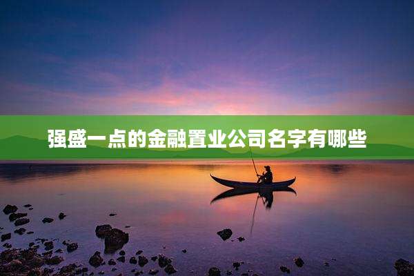 强盛一点的金融置业公司名字有哪些