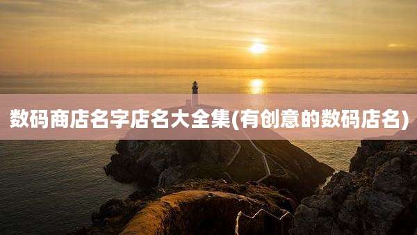 数码商店名字店名大全集(有创意的数码店名)