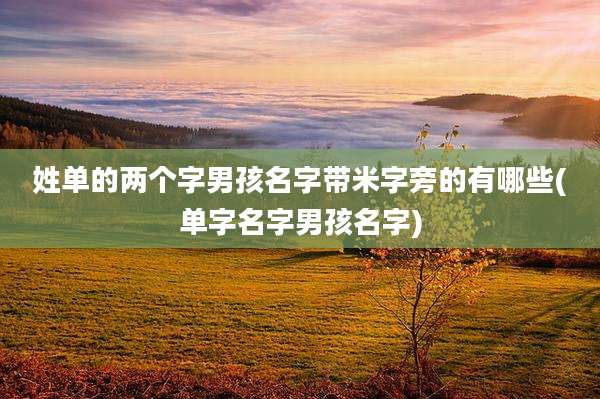 姓单的两个字男孩名字带米字旁的有哪些(单字名字男孩名字)