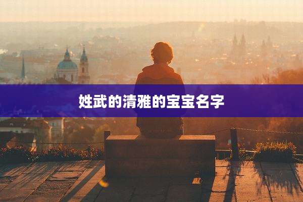 姓武的清雅的宝宝名字