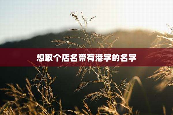 想取个店名带有港字的名字