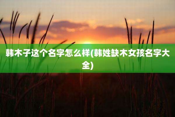韩木子这个名字怎么样(韩姓缺木女孩名字大全)
