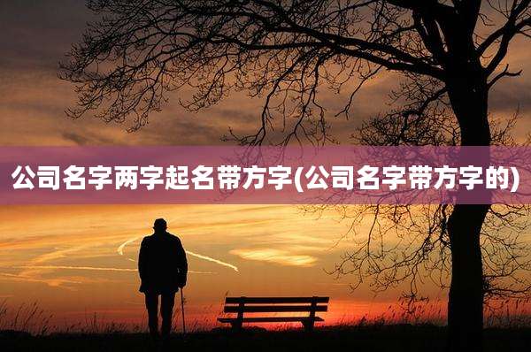 公司名字两字起名带方字(公司名字带方字的)