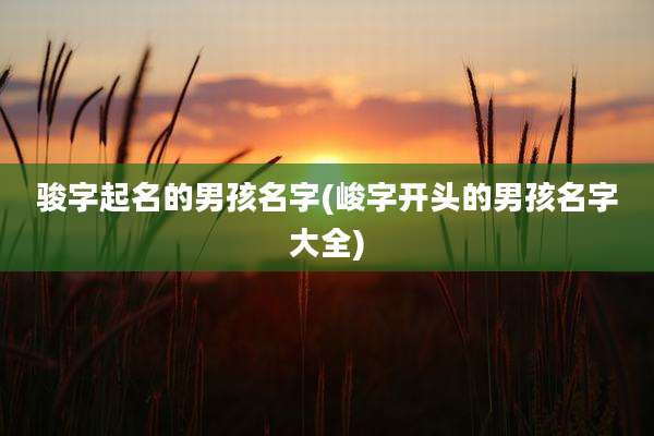 骏字起名的男孩名字(峻字开头的男孩名字大全)