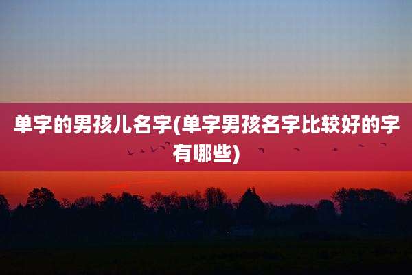 单字的男孩儿名字(单字男孩名字比较好的字有哪些)