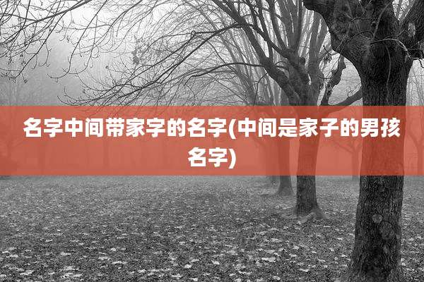 名字中间带家字的名字(中间是家子的男孩名字)