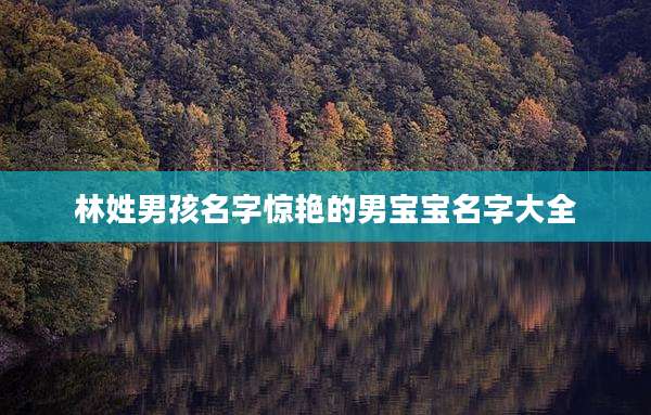 林姓男孩名字惊艳的男宝宝名字大全