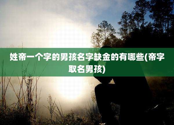姓帝一个字的男孩名字缺金的有哪些(帝字取名男孩)
