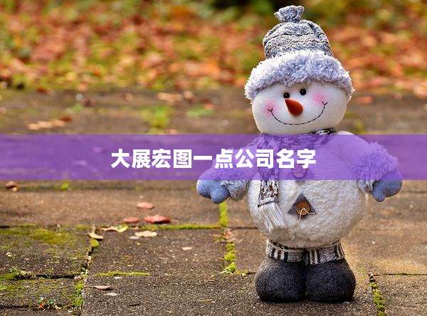 大展宏图一点公司名字