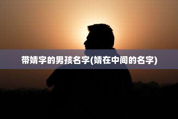 带婧字的男孩名字(婧在中间的名字)