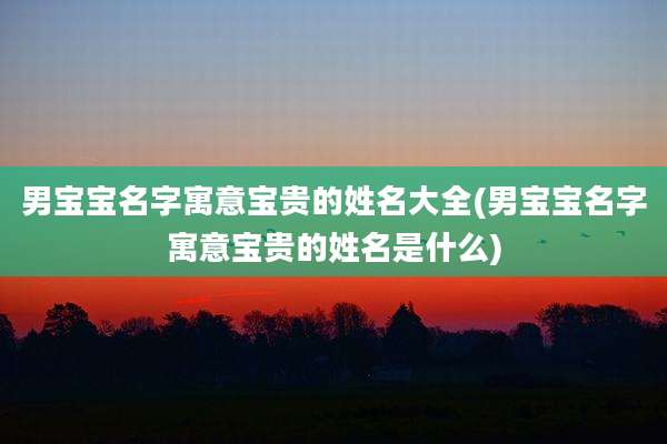 男宝宝名字寓意宝贵的姓名大全(男宝宝名字寓意宝贵的姓名是什么)